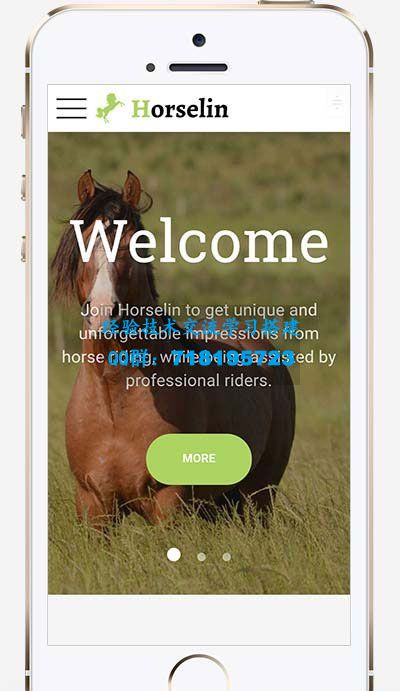 响应式马匹饲养养殖场养马场畜牧业网站源码 织梦dedecms模板 自适应手机端