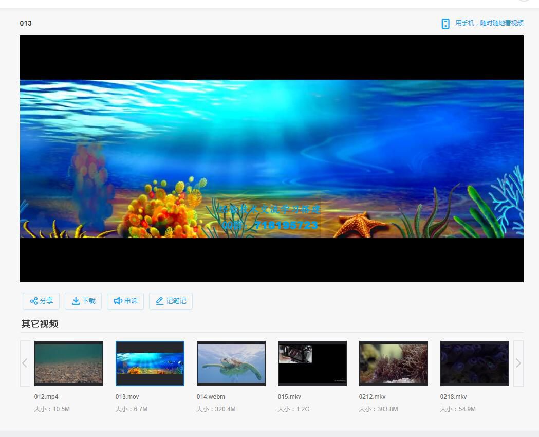 1300+vlog自然风景人文海底家庭视频素材