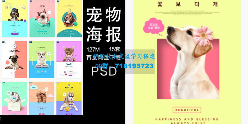     宠物狗狗猫咪简约店铺时尚海报PSD源文件分层banner背景素材模板
