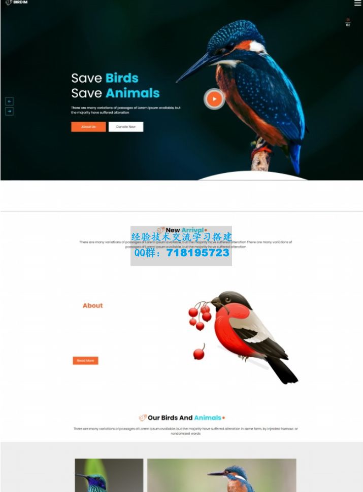     拯救鸟类拯救动物HTML5网站模板
