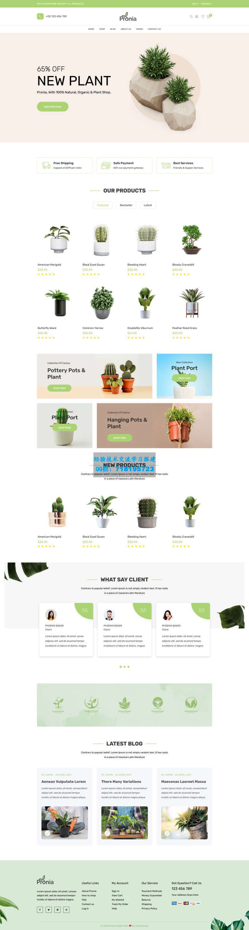绿色的盆栽植物商城网页模板