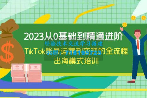     2023从0基础到精通进阶，TikTok 账号运营到变现的全流程出海模式培训
