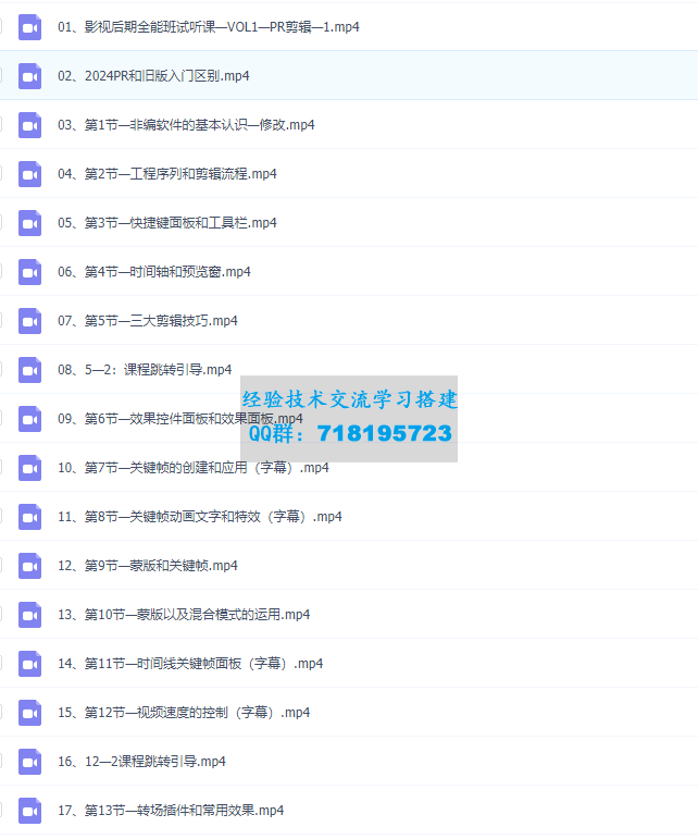 2025春季拍剪效全能集训营